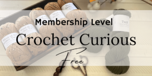 Crochet Curious Banner