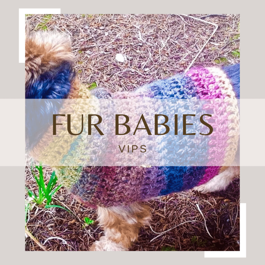 Fur Baby Crochet Feature Image