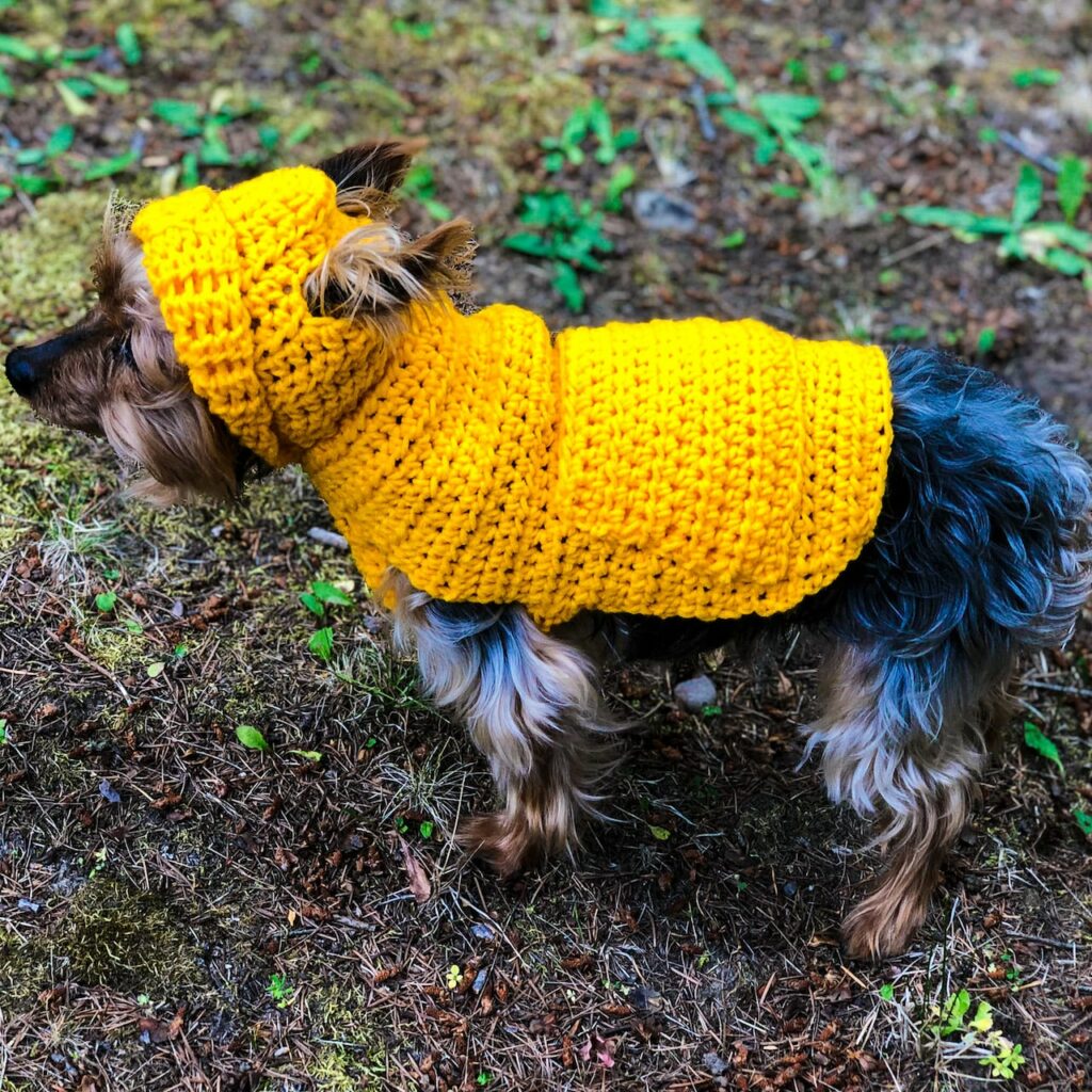 Small Dog Hoodie Crochet Sweater