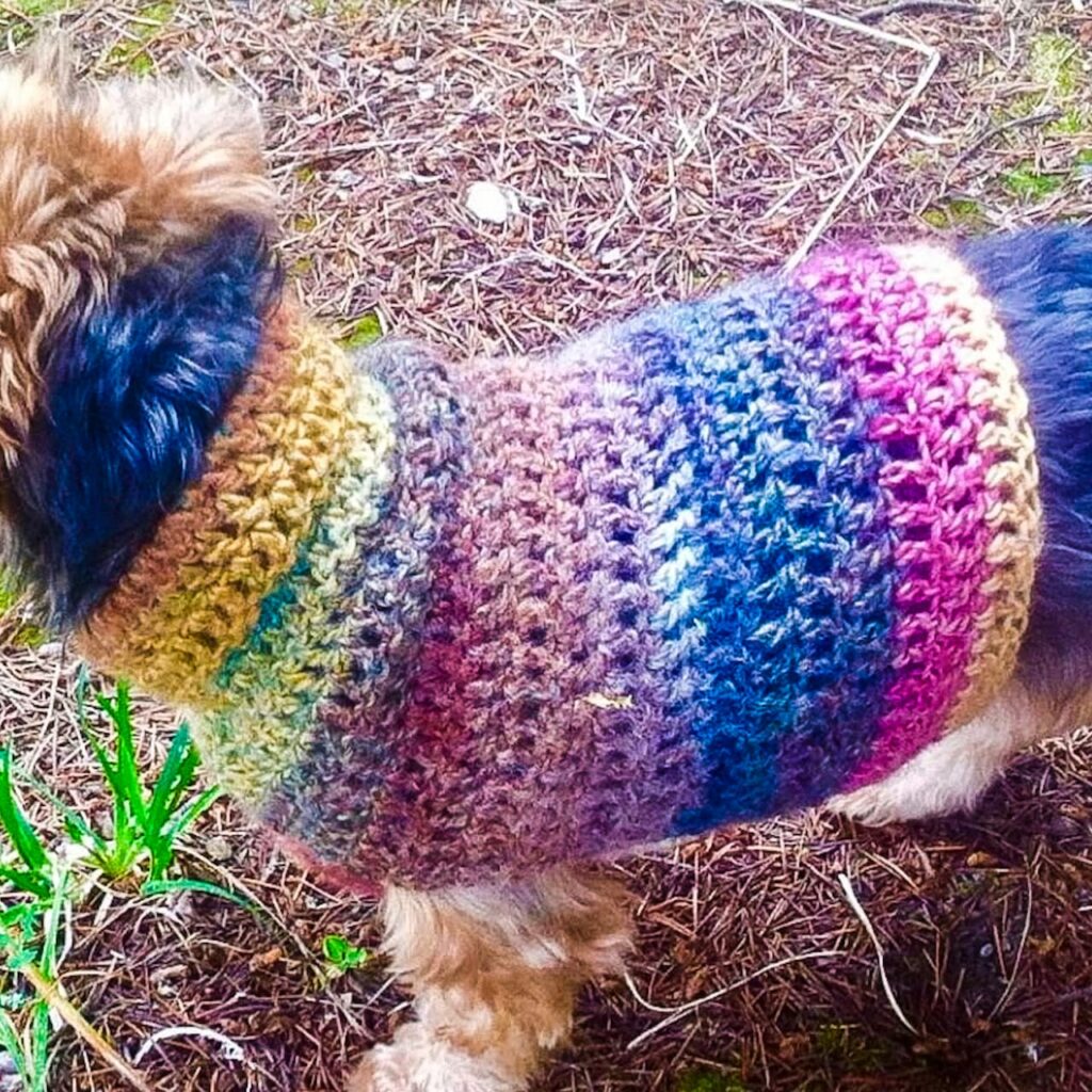 Small Dog Crochet Sweater
